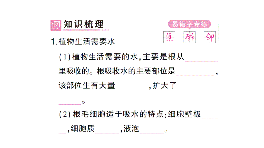 初中生物新北师大版七年级上册第3单元第4章第3节 吸收作用作业课件2024秋_第2页