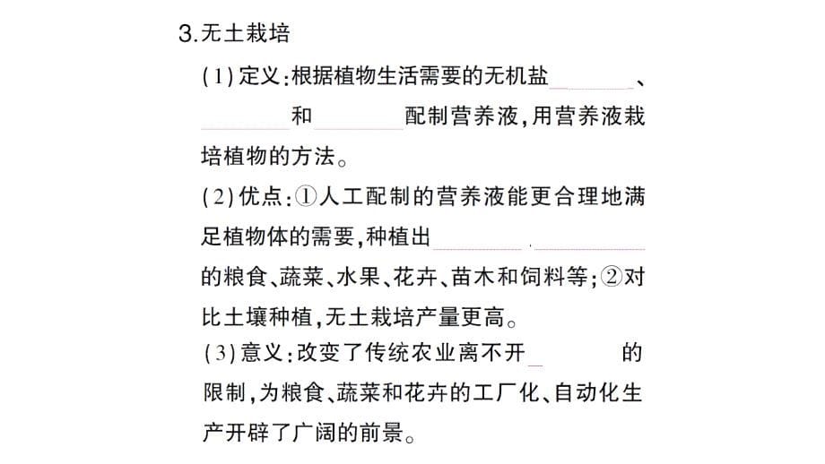 初中生物新北师大版七年级上册第3单元第4章第3节 吸收作用作业课件2024秋_第5页