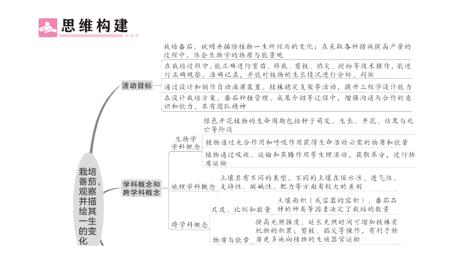 初中生物新北师大版七年级上册活动一 栽培番茄观察并描绘其一生的变化作业课件2024秋_第2页