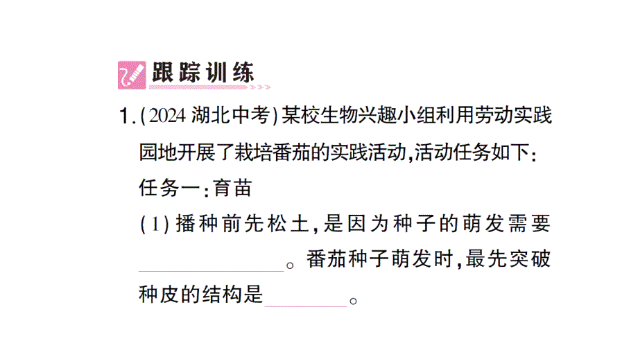 初中生物新北师大版七年级上册活动一 栽培番茄观察并描绘其一生的变化作业课件2024秋_第4页