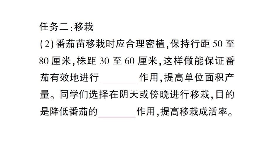 初中生物新北师大版七年级上册活动一 栽培番茄观察并描绘其一生的变化作业课件2024秋_第5页