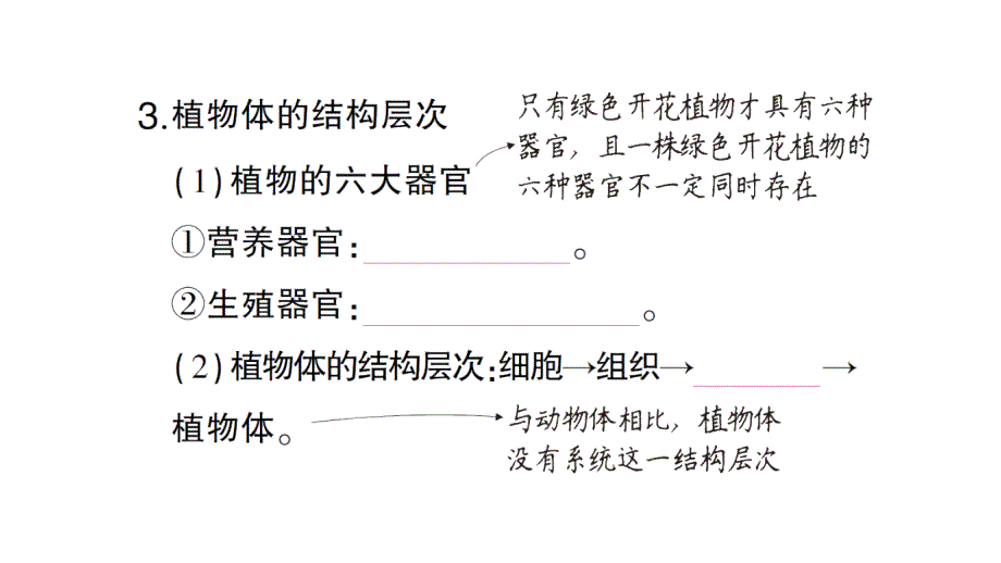 初中生物新北师大版七年级上册第2单元第3章第3节 生物体的器官、系统作业课件2024秋_第4页