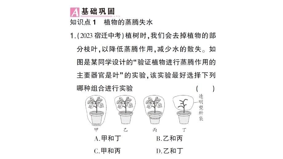 初中生物新北师大版七年级上册第3单元第4章第5节 蒸腾作用作业课件2024秋_第5页