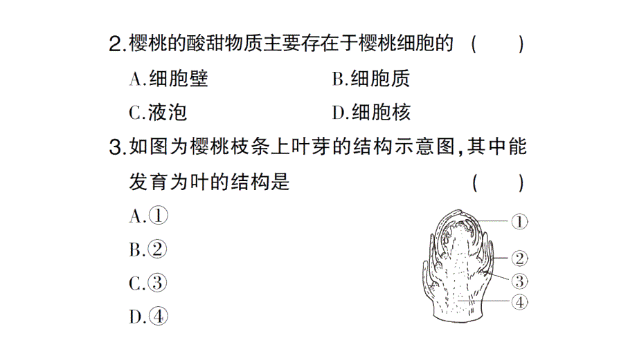 初中生物新北师大版七年级上册期末主题情境题作业课件2024秋_第3页