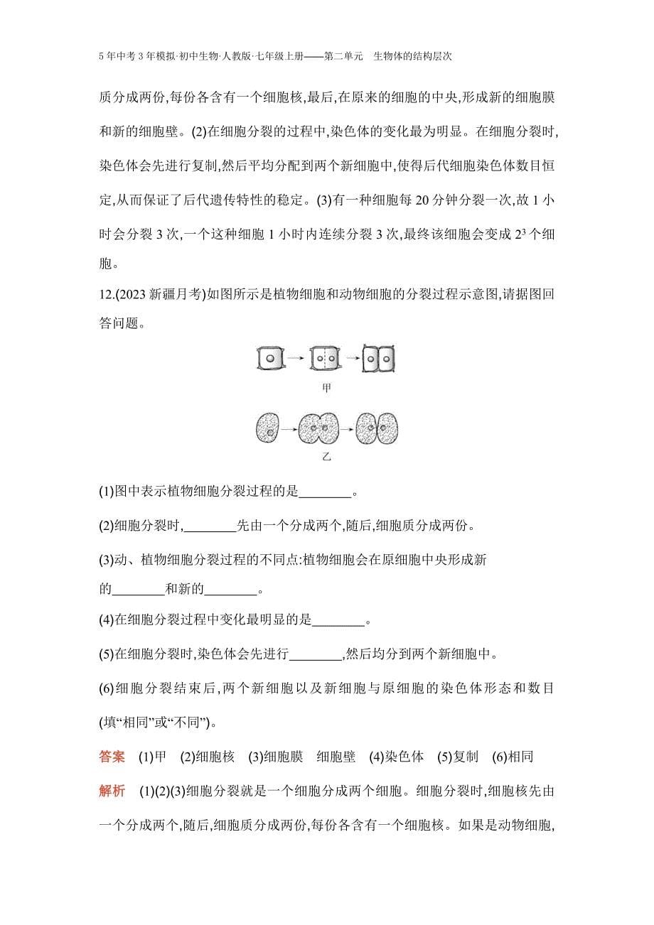 人教版生物七年级上册第一节　细胞通过分裂产生新细胞_第5页