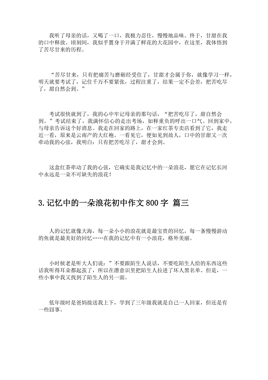 记忆中的一朵浪花初中作文800字_第3页