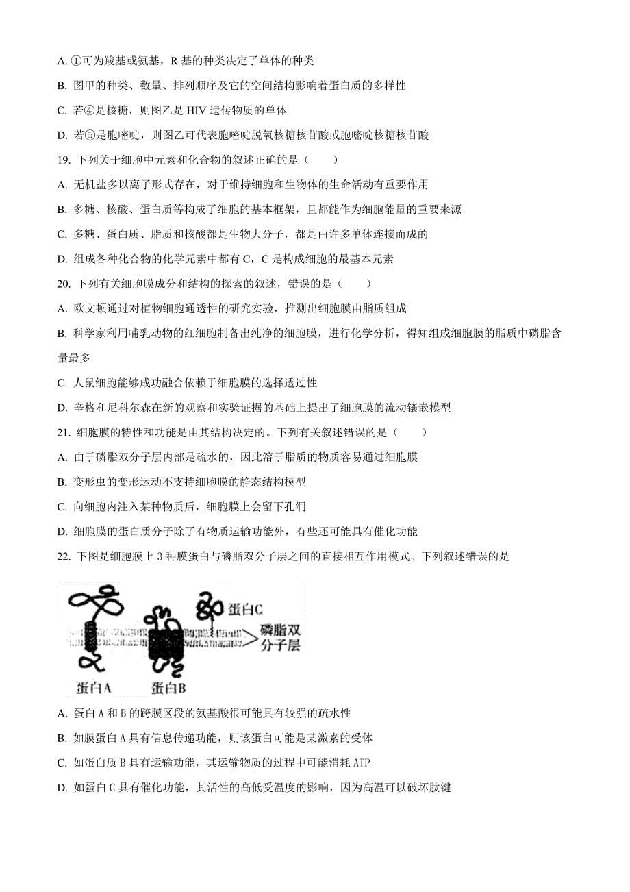 四川省广安友谊中学2023-2024学年高一上学期期中考试生物Word版无答案_第5页