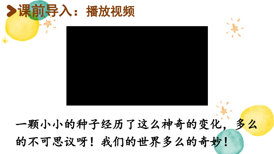 统编版语文三年级（下册）第7单元 22.我们奇妙的世界第1课时（2024版新教材）_第3页