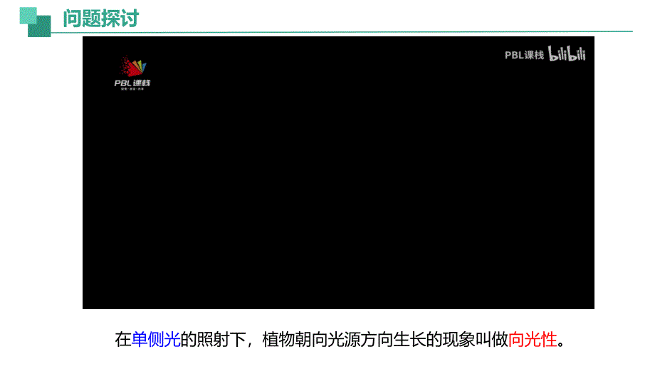 【生物】植物生长素课件-2024-2025学年高二上学期生物人教版选择性必修1_第2页