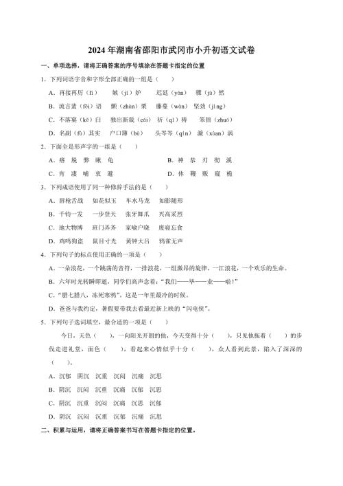 2024年湖南省邵阳市武冈市小升初语文试卷（原卷全解析版）