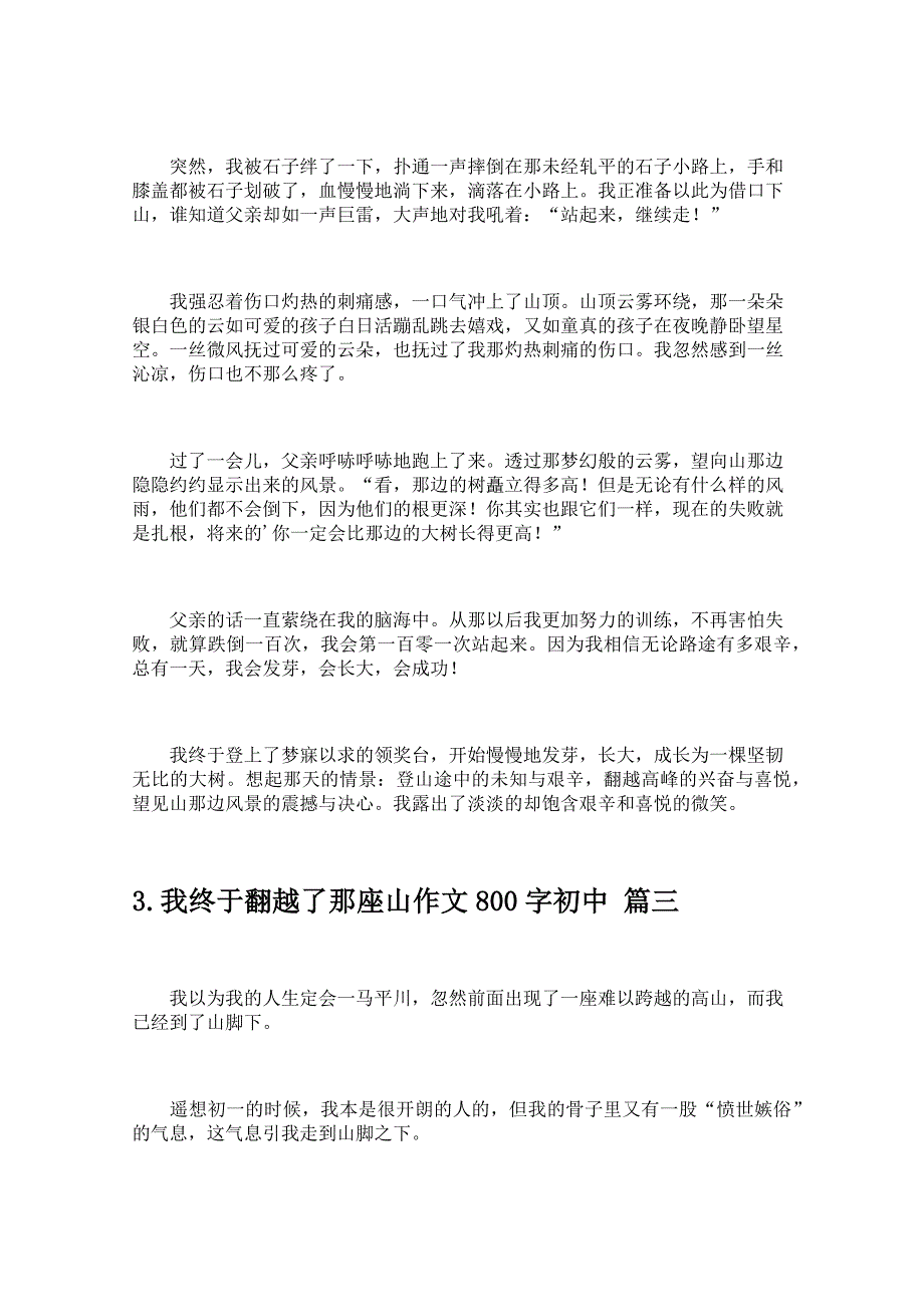 我终于翻越了那座山作文800字初中_第3页