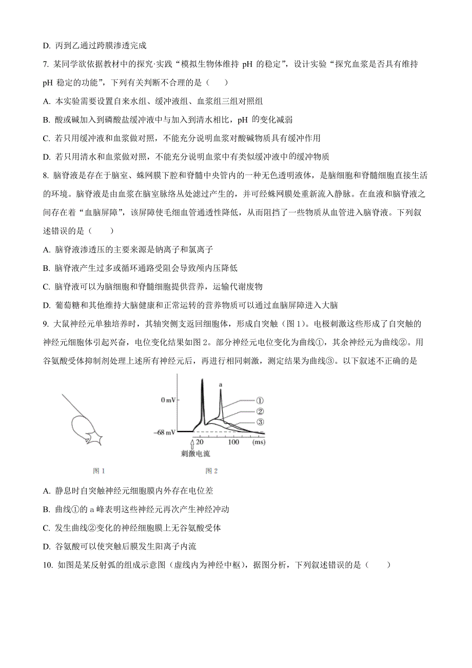 湖北省公安县第一中学2024-2025学年高二上学期10月段考生物Word版无答案_第3页