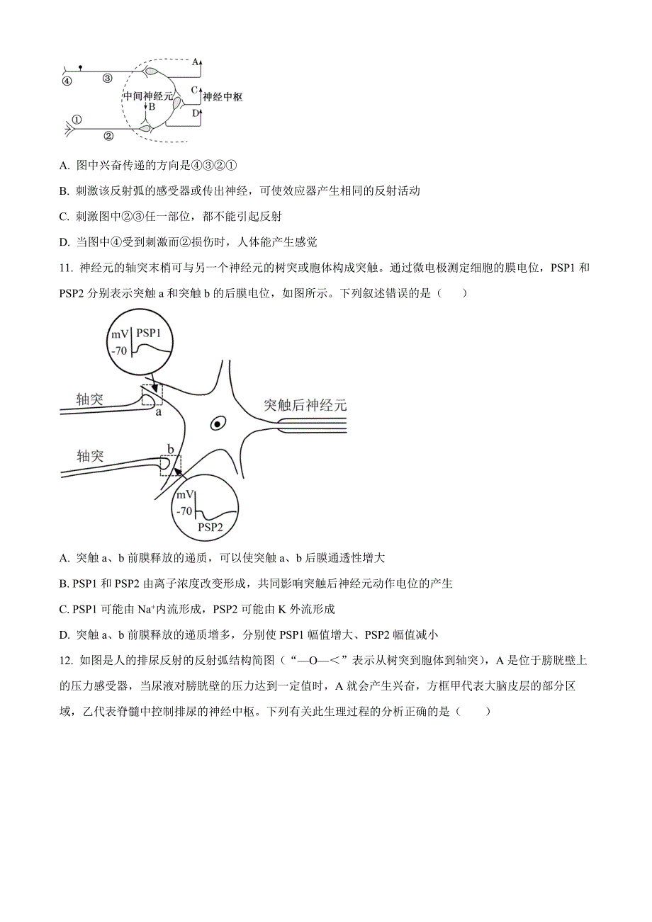 湖北省公安县第一中学2024-2025学年高二上学期10月段考生物Word版无答案_第4页