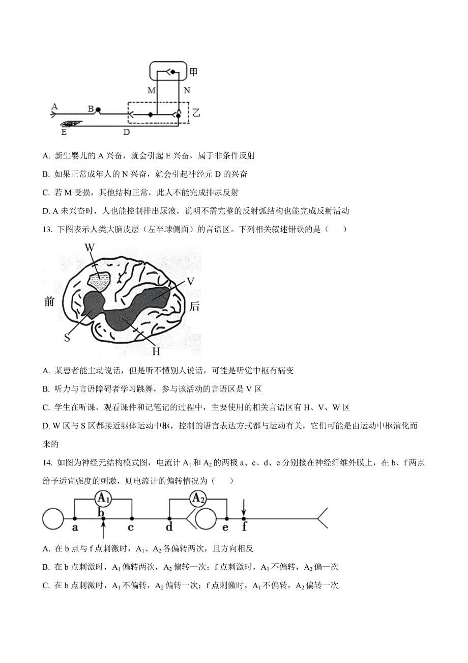 湖北省公安县第一中学2024-2025学年高二上学期10月段考生物Word版无答案_第5页