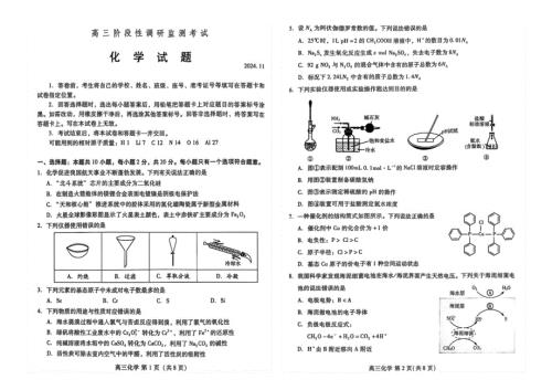 山东省潍坊市2024-2025学年高三上学期 期中化学试题