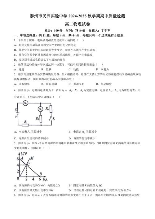 江苏省泰州市民兴实验中学2024-2025学年高二上学期期中考试物理试题(无答案)