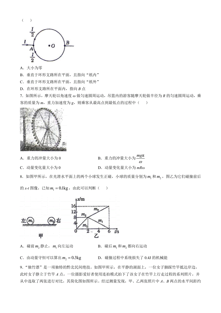 江苏省泰州市民兴实验中学2024-2025学年高二上学期期中考试物理试题(无答案)_第2页