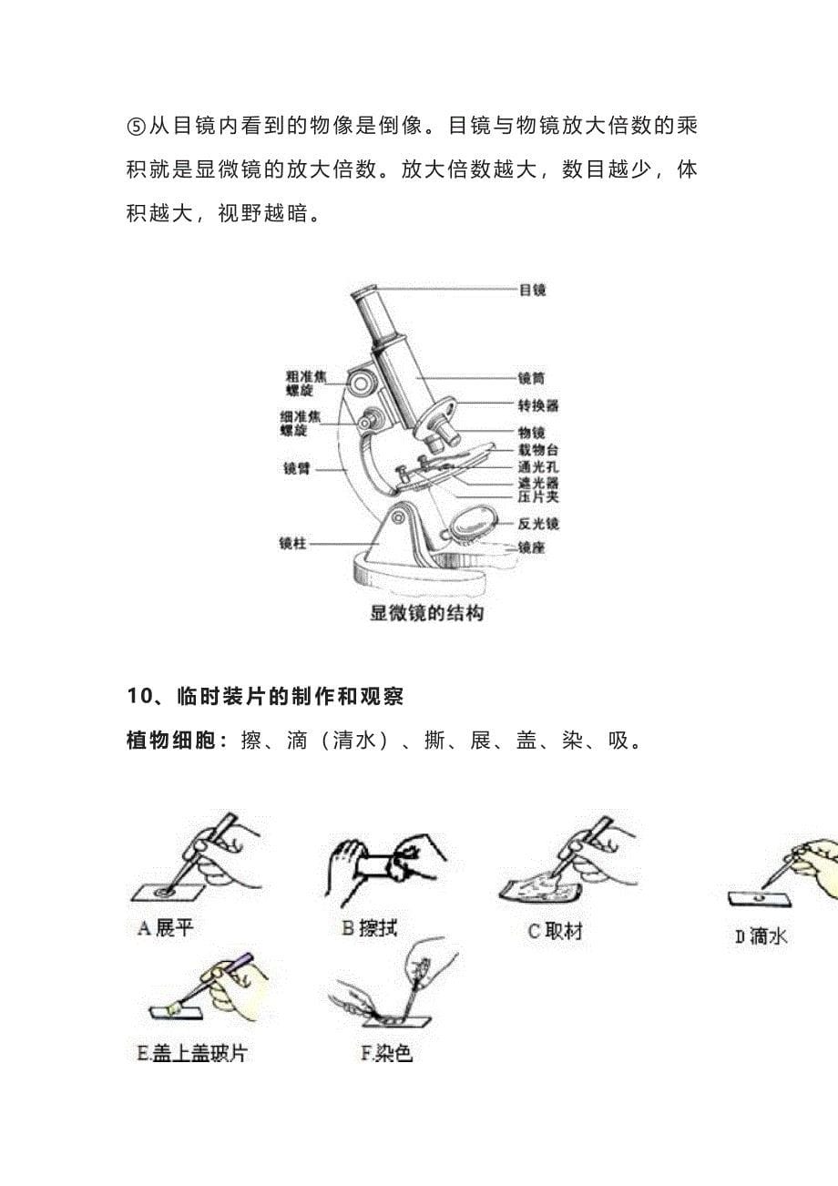 2024年【初中生物】会考知识点汇总必背附会考试卷_第5页