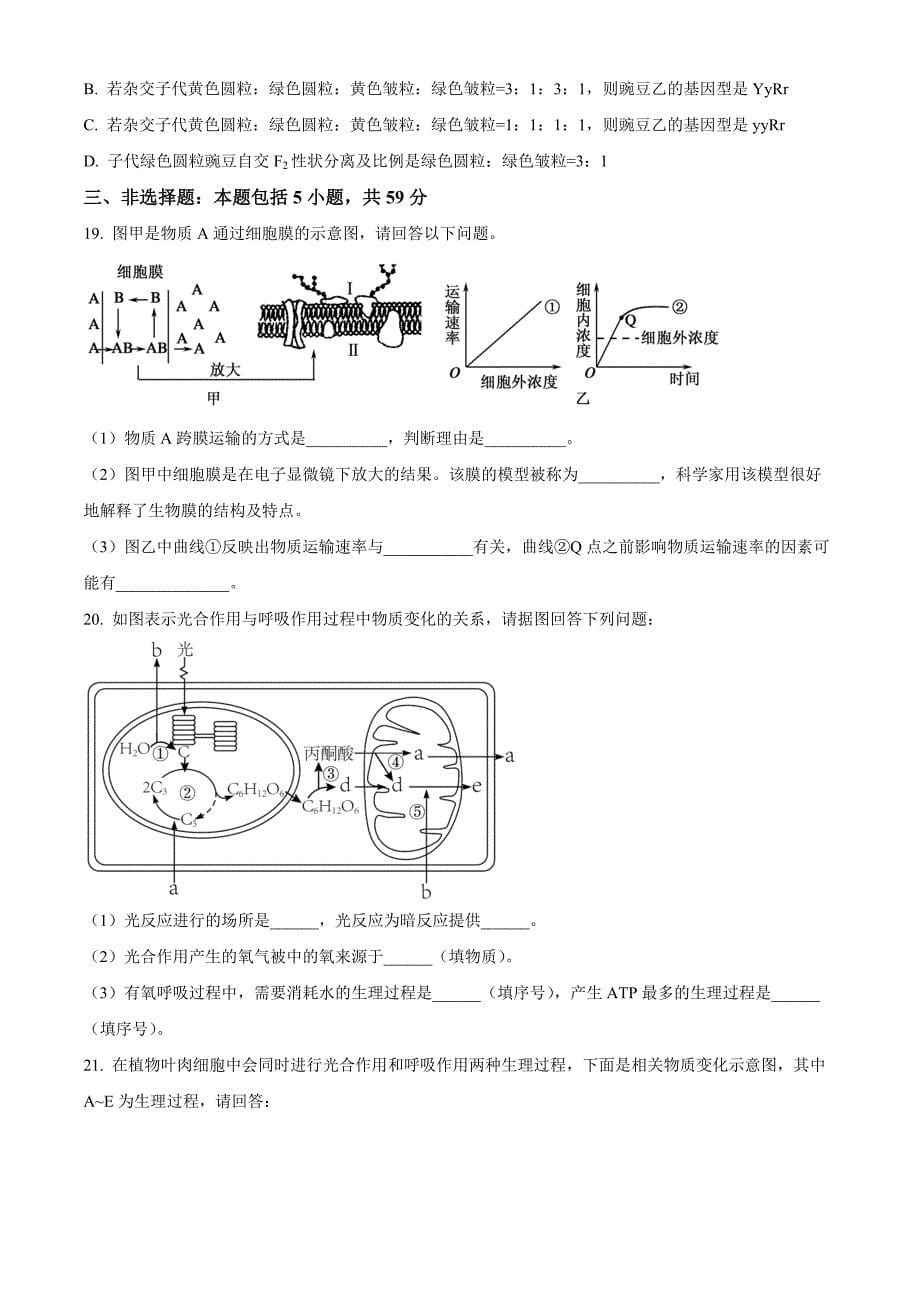 河北省衡水市武强中学2024-2025学年高三上学期期中考试生物 Word版无答案_第5页