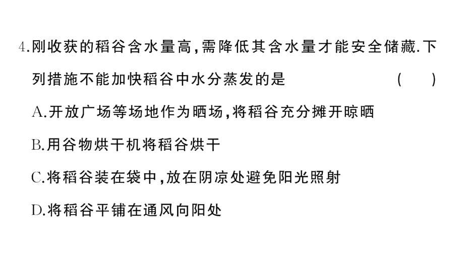 初中物理新人教版八年级上册第三章 物态变化综合训练作业课件2024秋季_第5页