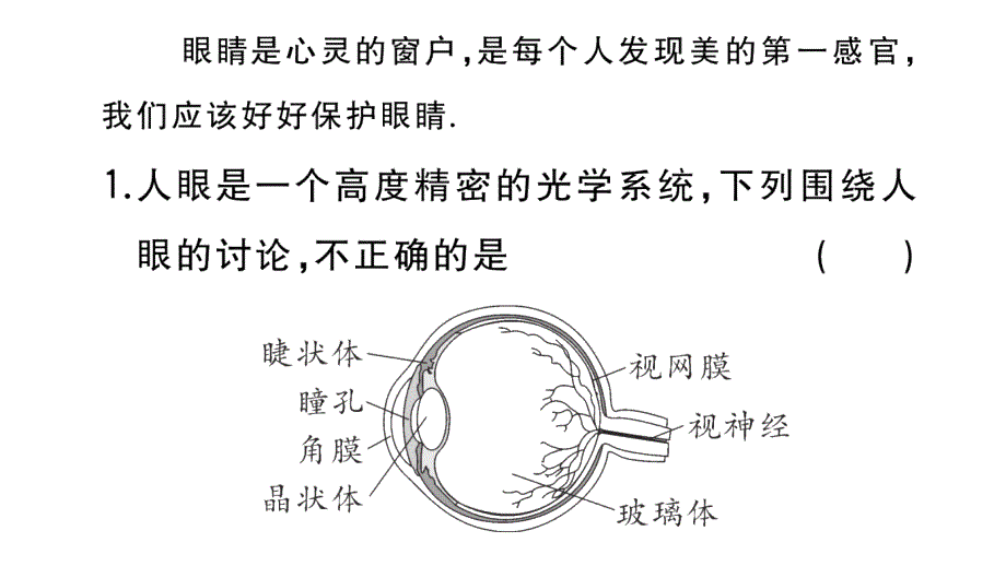 初中物理新人教版八年级上册大单元综合(二) 光学综合作业课件2024秋季_第2页