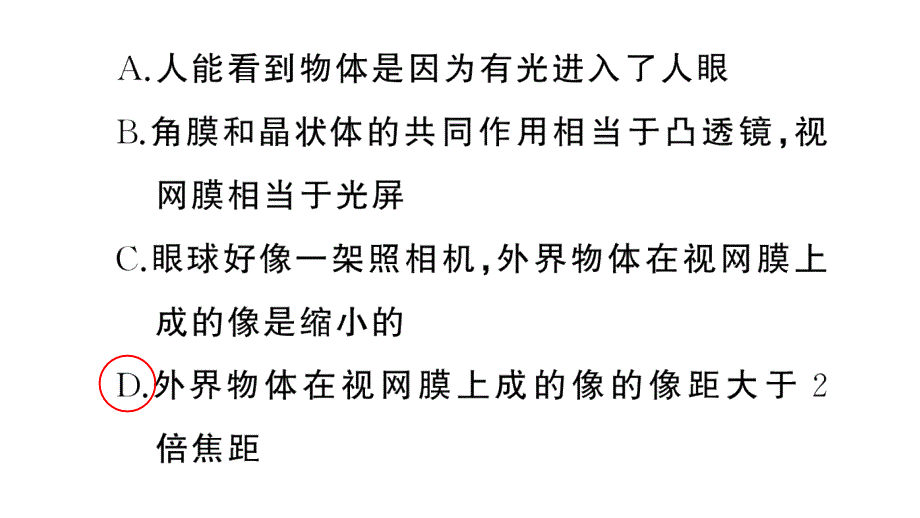 初中物理新人教版八年级上册大单元综合(二) 光学综合作业课件2024秋季_第3页