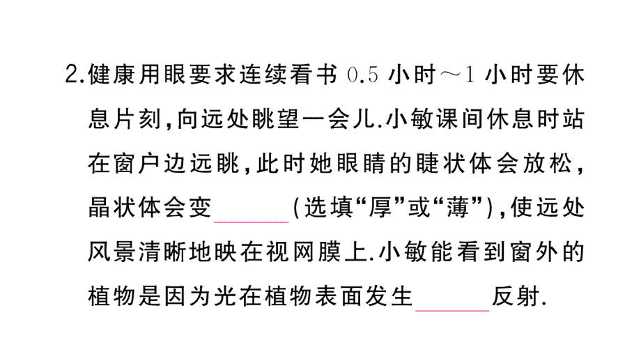 初中物理新人教版八年级上册大单元综合(二) 光学综合作业课件2024秋季_第4页