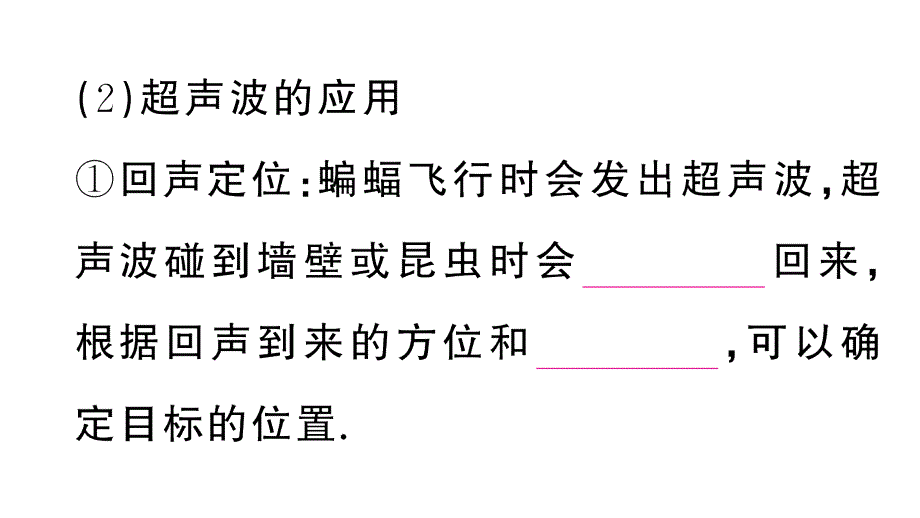 初中物理新人教版八年级上册第二章第3节 声的利用课堂作业课件2024秋季_第3页