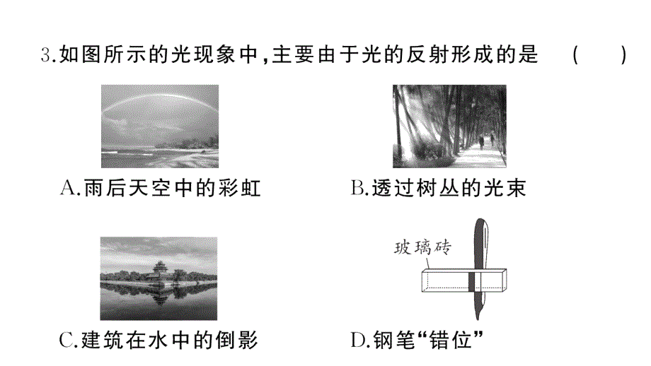 初中物理新人教版八年级上册第四章 光现象综合训练作业课件2024秋季_第4页