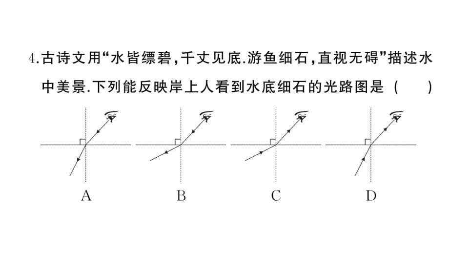 初中物理新人教版八年级上册第四章 光现象综合训练作业课件2024秋季_第5页