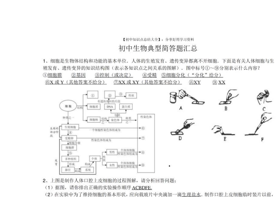 2024年【初中生物】典型简答题汇总_第2页