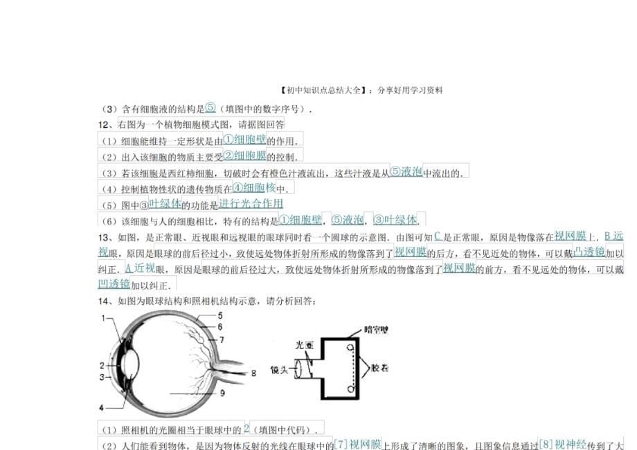 2024年【初中生物】典型简答题汇总_第5页