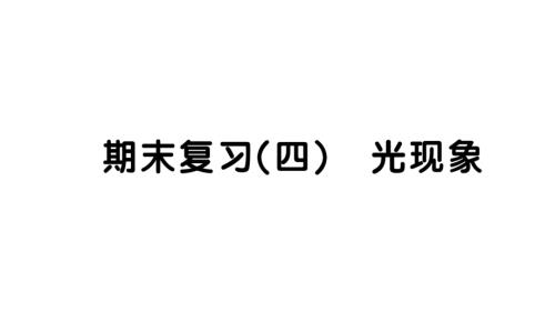 初中物理新人教版八年级上册期末复习（四） 光现象作业课件2024秋季