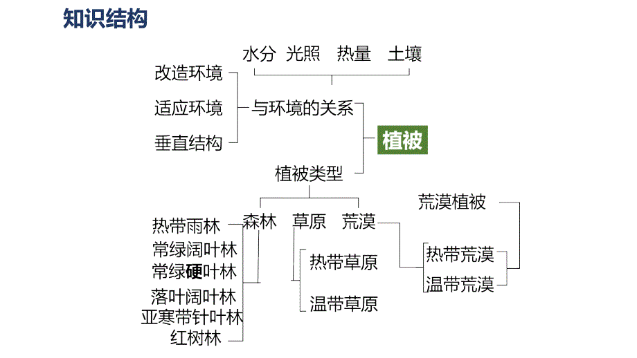 2025届高考一轮复习++植被_第3页