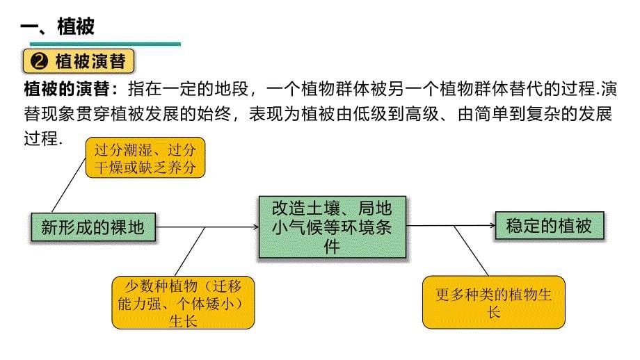 2025届高考一轮复习++植被_第5页