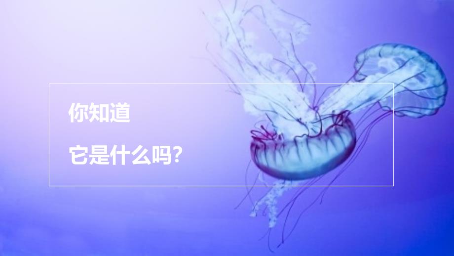 《游来游去的水母》创意课件_第4页