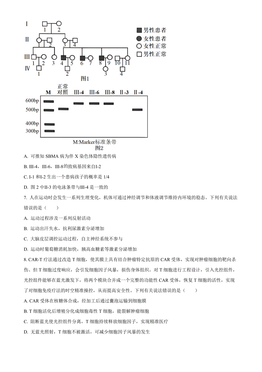 北京市平谷区2023-2024学年高三下学期质量监控（零模）生物Word版无答案_第3页