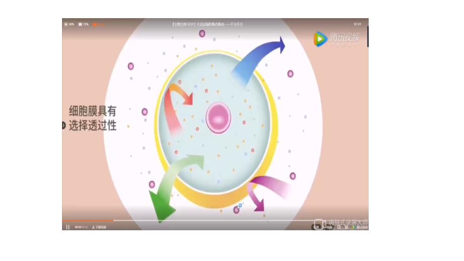 4.2主动运输与胞吞、胞吐课件-高一上学期生物人教版必修1_第3页