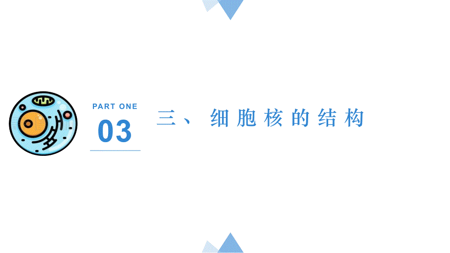 3.3 细胞核的结构和功能（第二课时）高一上学期生物人教版必修一_第1页