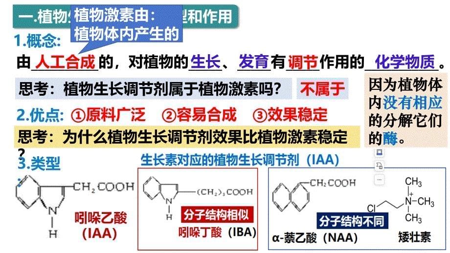 5.3植物生长调节剂的应用课件高二上学期生物人教版选择性必修1_第5页