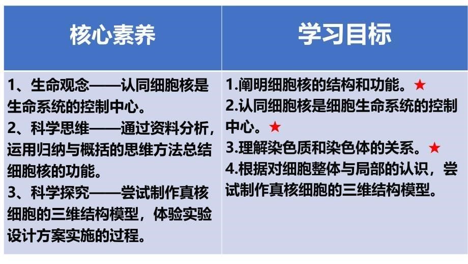 3.3细胞核的结构和功能课件高一上学期生物人教版必修1_第5页