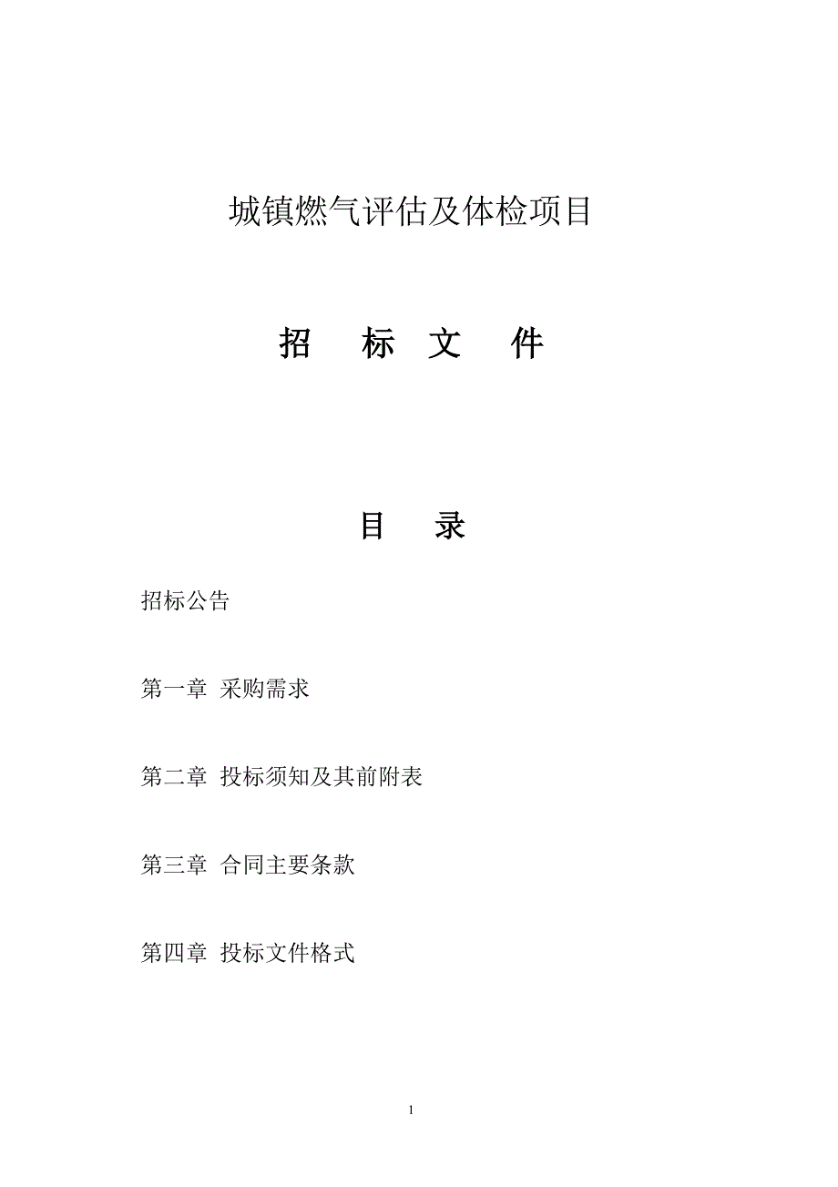 城镇燃气评估及体检项目招标文件_第1页