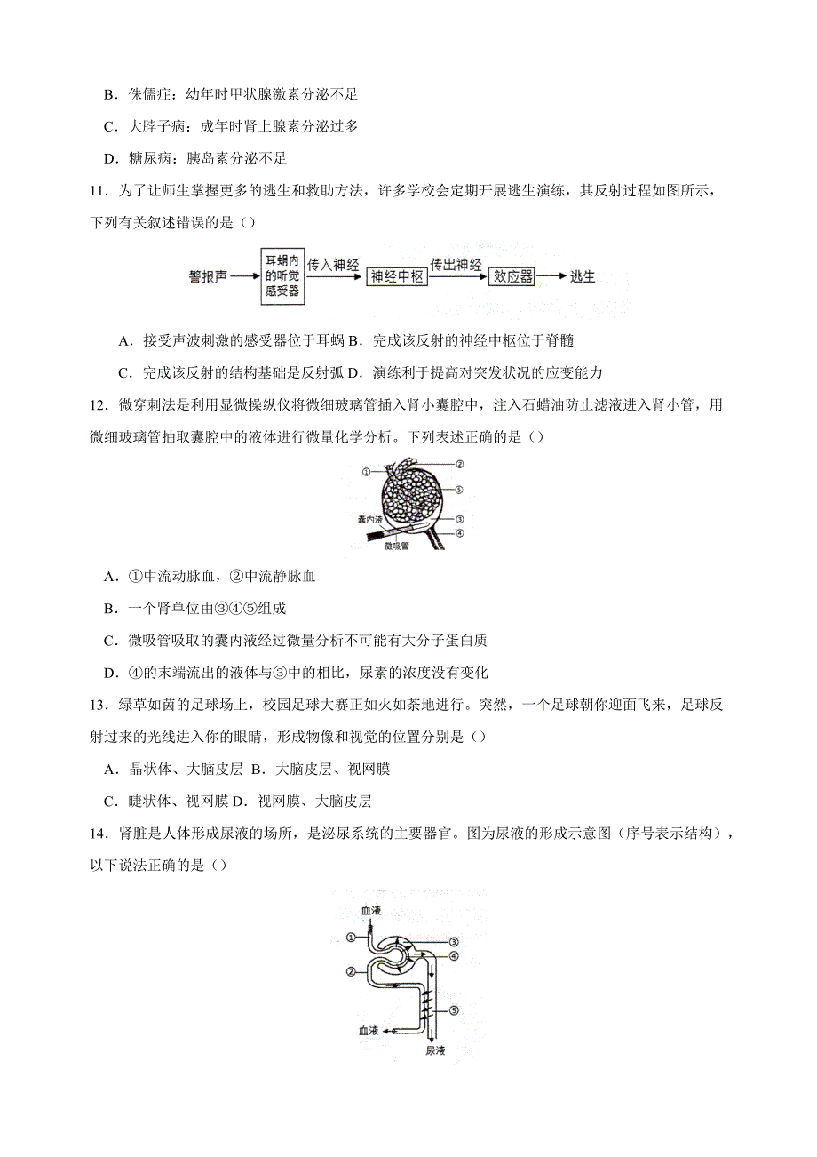 江苏省徐州市邳州市2023-2024学年八年级上学期期中生物试卷（含答案）_第3页