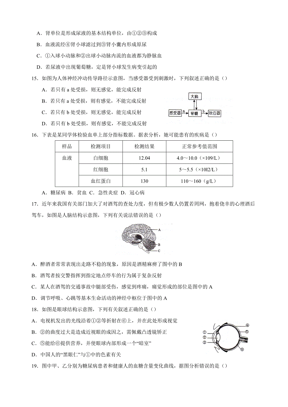 江苏省徐州市邳州市2023-2024学年八年级上学期期中生物试卷（含答案）_第4页