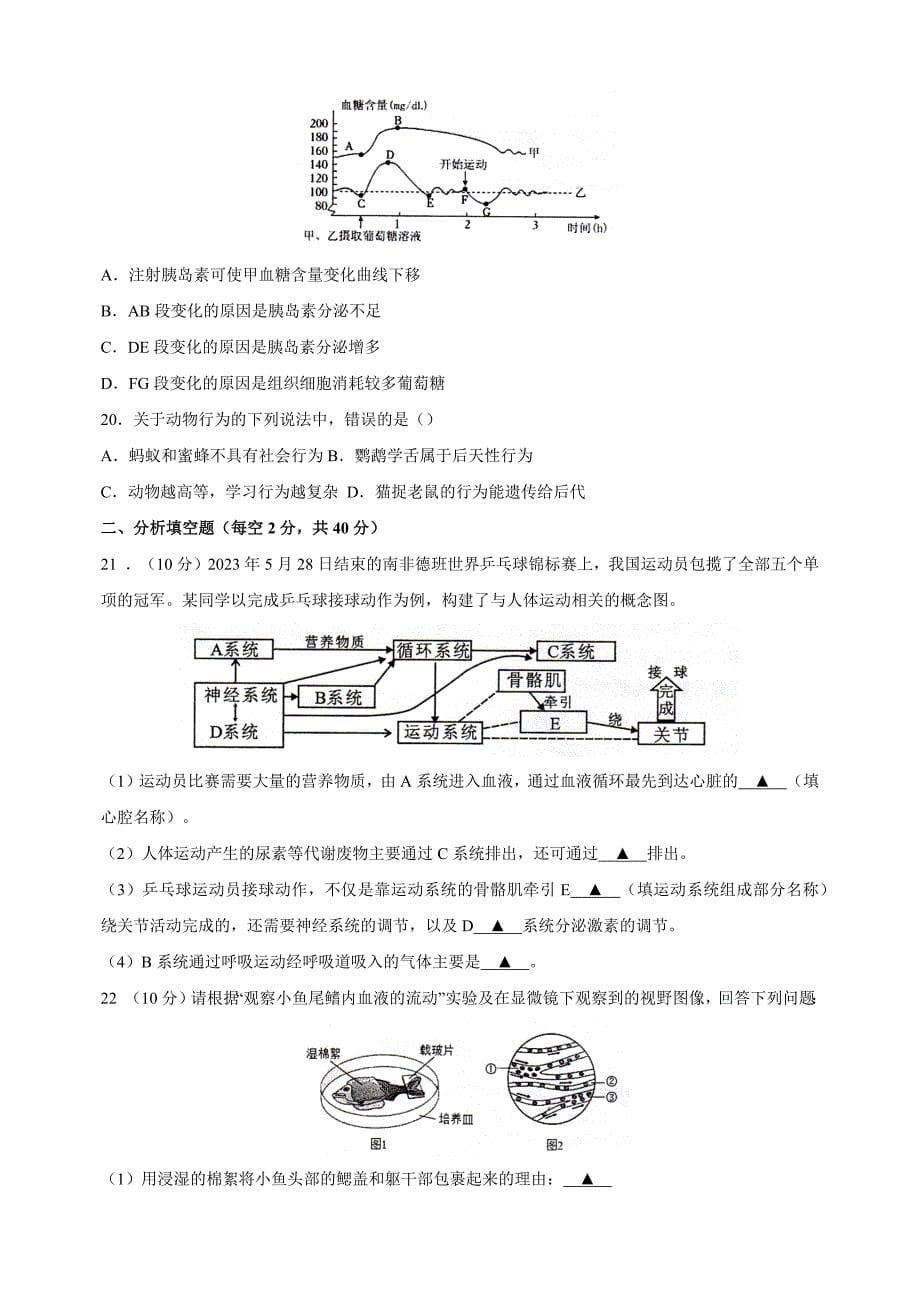 江苏省徐州市邳州市2023-2024学年八年级上学期期中生物试卷（含答案）_第5页