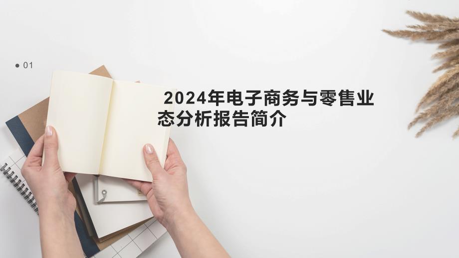 2024年电子商务与零售业态分析报告_第3页