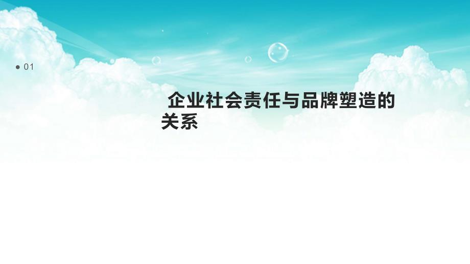 企业社会责任品牌塑造策划书_第3页