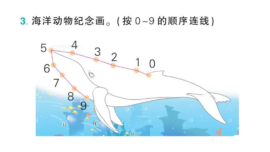 小学数学新西师版一年级上册《阶段主题活动》作业课件（共14个）7（2024秋）_第5页