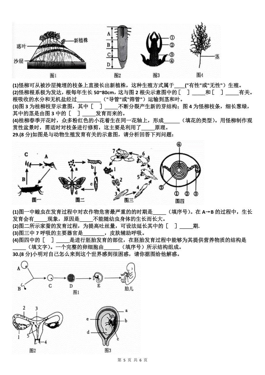 八年级生物上册期中考试卷及答案_第5页