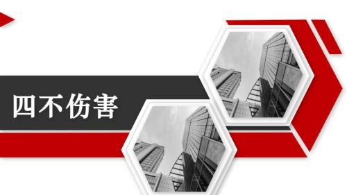 2024年什么是四不伤害落实这24条就是四不伤害